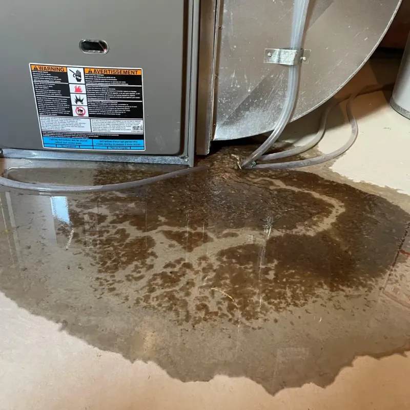 Appliance Leak Cleanup in Ewa Beach, HI