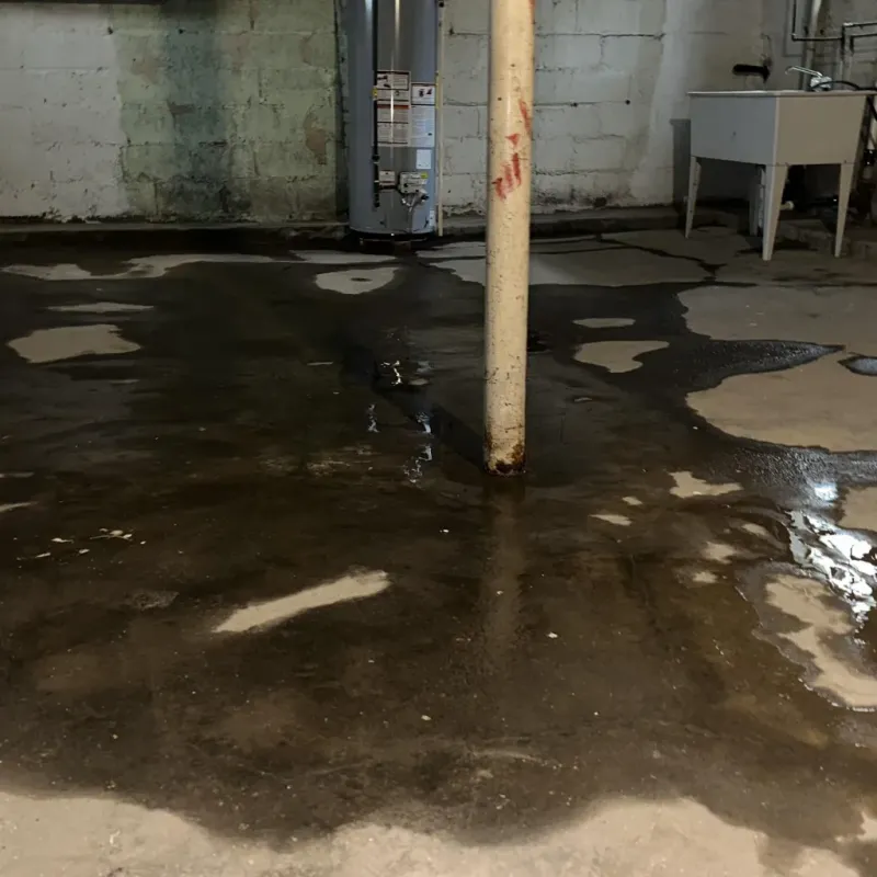 Emergency Water Extraction And Removal in Ewa Beach, HI